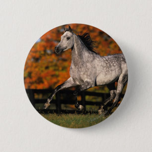 Arab Horse: Autumn 1 2 Inch Round Button