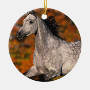 Arab Horse: Autumn 1 Ceramic Ornament