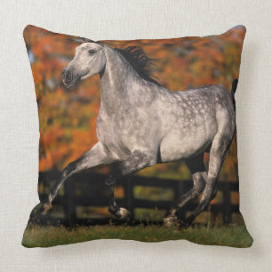 Arab Horse: Autumn 1 Throw Pillow