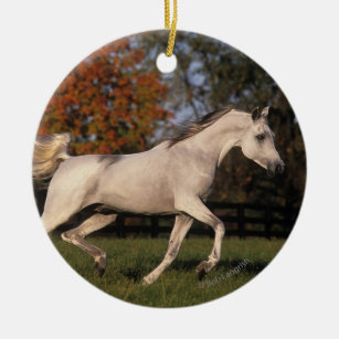 Arab Horse: Autumn 2 Ceramic Ornament