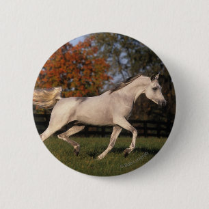 Arab Horse: Autumn 2 Inch Round Button