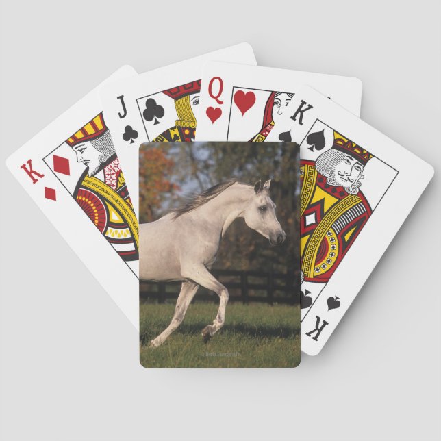 Arab Horse: Autumn 2 Playing Cards (Back)