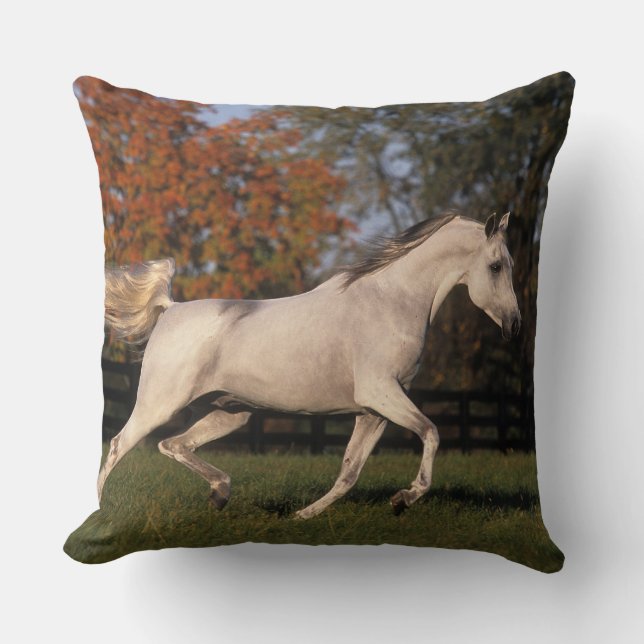 Arab Horse: Autumn 2 Throw Pillow (Front)