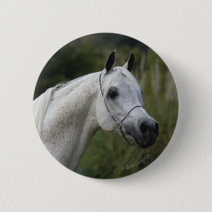 Arab Horse Headshot 1 2 Inch Round Button