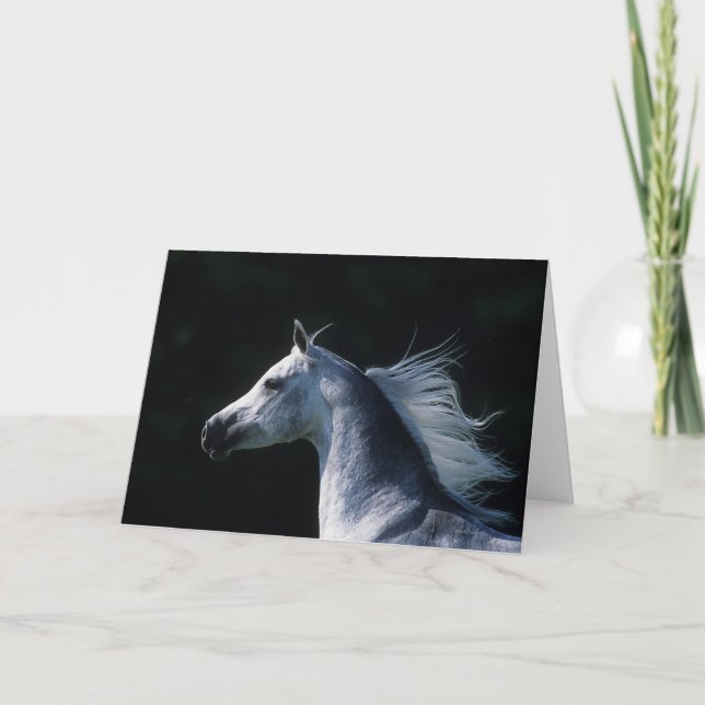 Arab Horse Headshot 2 Card (Front)