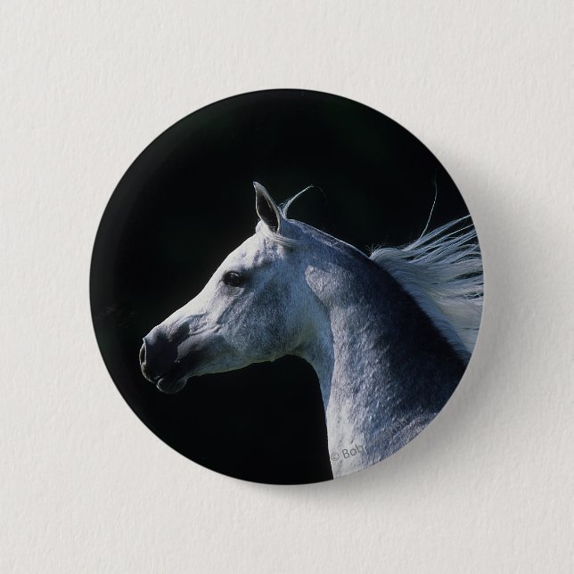 Arab Horse Headshot 2 Inch Round Button (Front)