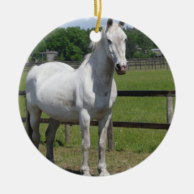 Arab Horse Ornament (Front)