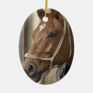Arab Horse Ornament