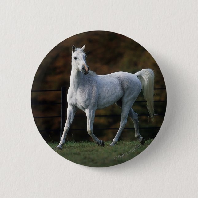 Arab Horse Running 1 2 Inch Round Button (Front)