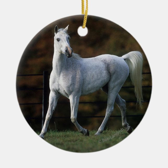 Arab Horse Running 1 Ceramic Ornament (Front)