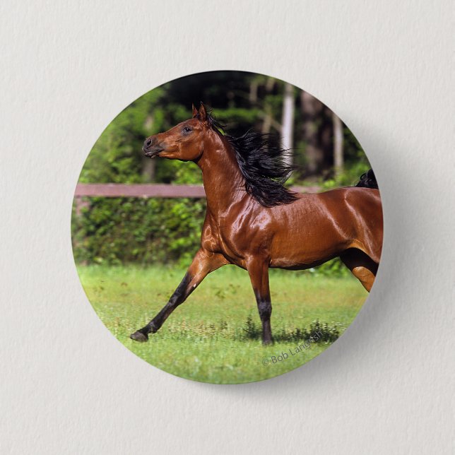 Arab Horse Running 2 Inch Round Button (Front)