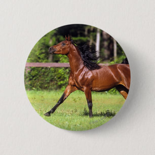 Arab Horse Running 2 Inch Round Button