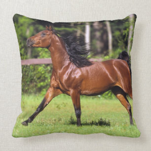 Arab Horse Running 2 Throw Pillow