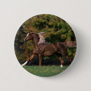 Arab Horse Running in Grassy Field 2 Inch Round Button