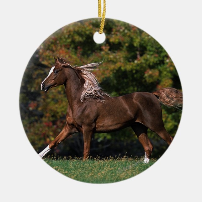 Arab Horse Running in Grassy Field Ceramic Ornament (Front)