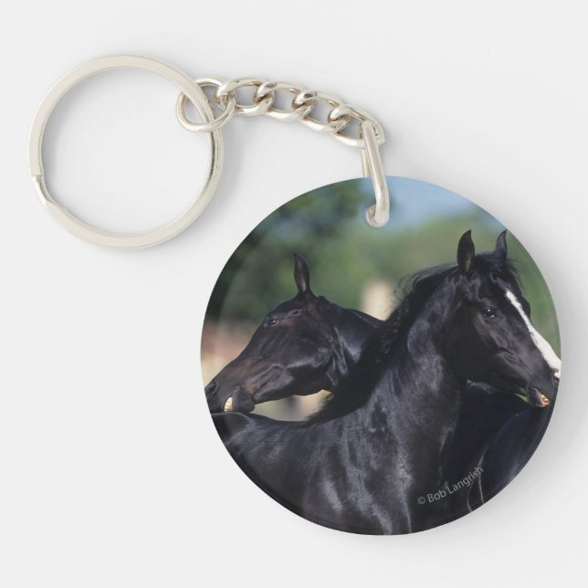 Arab Horse Scratching Keychain (Front)