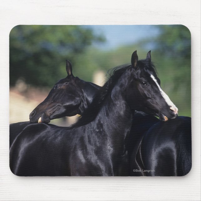 Arab Horse Scratching Mouse Pad (Front)