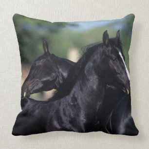 Arab Horse Scratching Throw Pillow