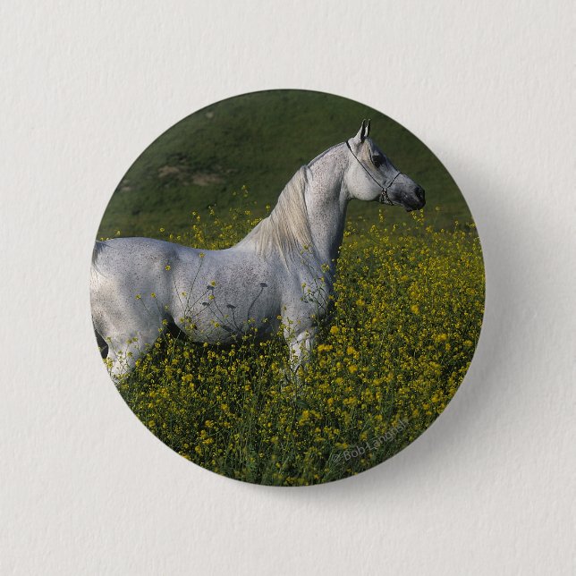 Arab Horse Standing in Flowers 2 Inch Round Button (Front)
