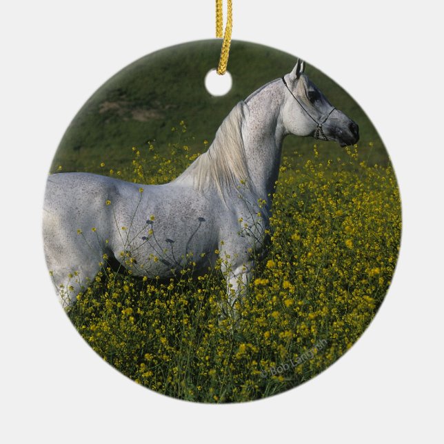 Arab Horse Standing in Flowers Ceramic Ornament (Front)