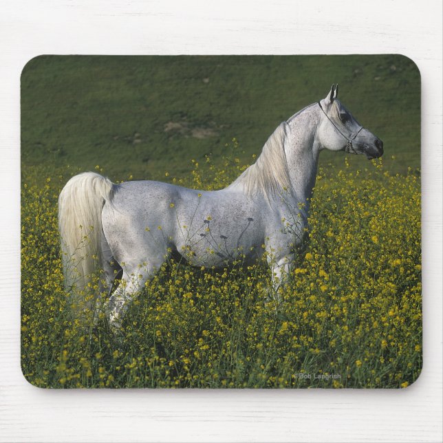 Arab Horse Standing in Flowers Mouse Pad (Front)