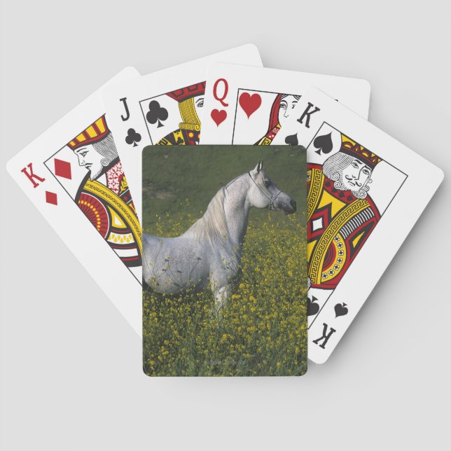 Arab Horse Standing in Flowers Playing Cards (Back)