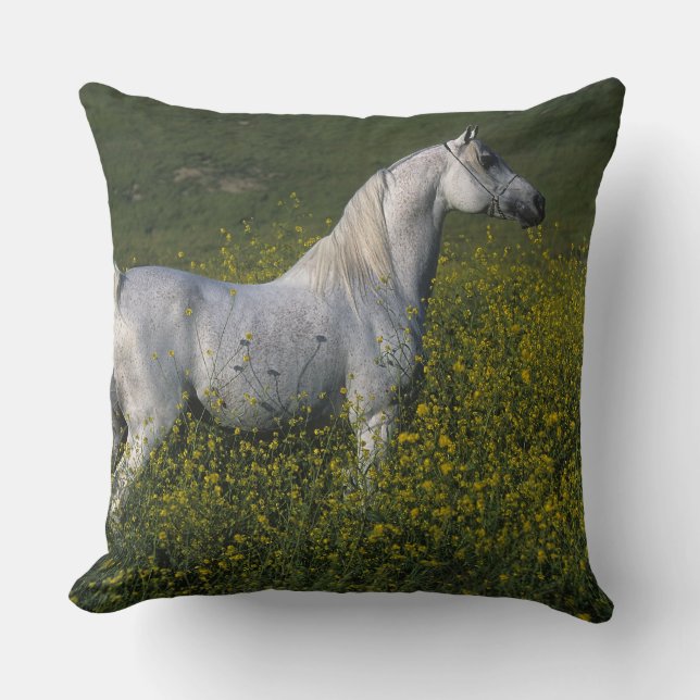 Arab Horse Standing in Flowers Throw Pillow (Front)