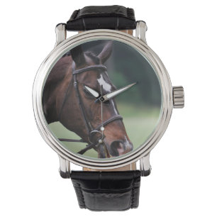 Arab Horse with White on Face Watch