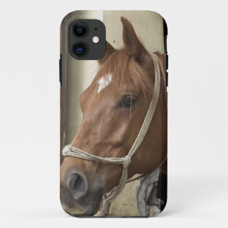 Arab Horses iPhone 11 Case