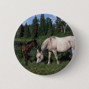 Arab Mare & Foal 2 2 Inch Round Button