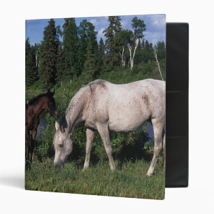 Arab Mare & Foal 2 Binder