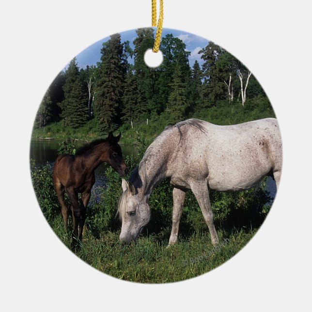 Arab Mare & Foal 2 Ceramic Ornament (Front)
