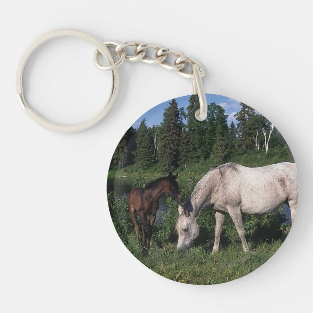 Arab Mare & Foal 2 Keychain (Front)