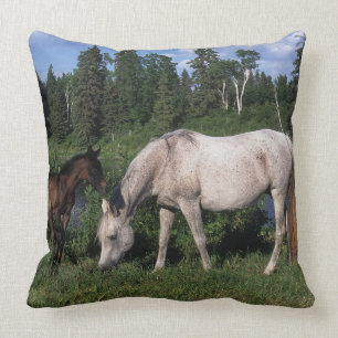 Arab Mare & Foal 2 Throw Pillow