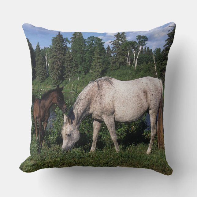 Arab Mare & Foal 2 Throw Pillow (Front)