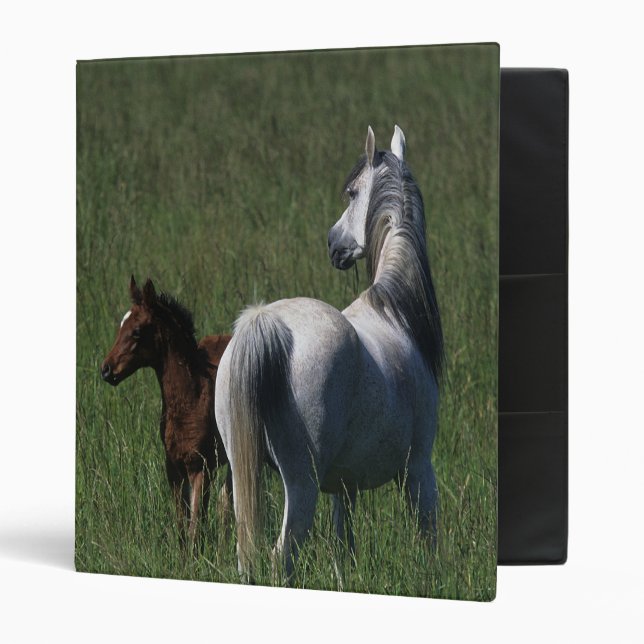 Arab Mare & Foal Binder (Front/Inside)