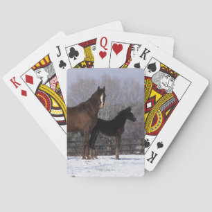 Arab Mare & Foal in Snow Playing Cards