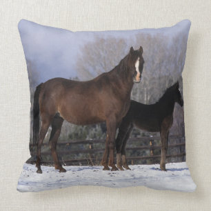 Arab Mare & Foal in Snow Throw Pillow