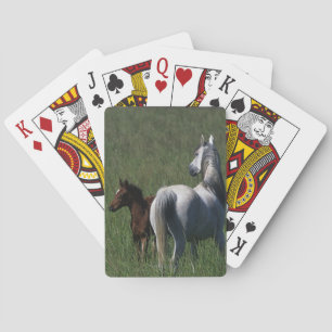 Arab Mare & Foal Playing Cards
