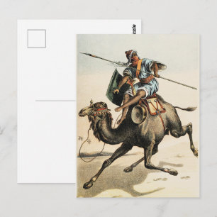 Arab Rider Desert Camel Vintage Naturalist Art Postcard