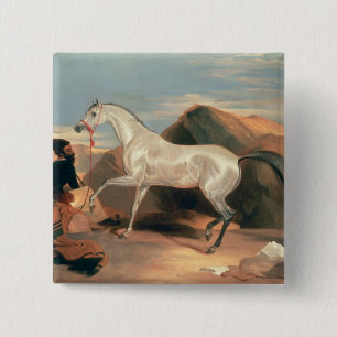Arab Stallion 2 Inch Square Button