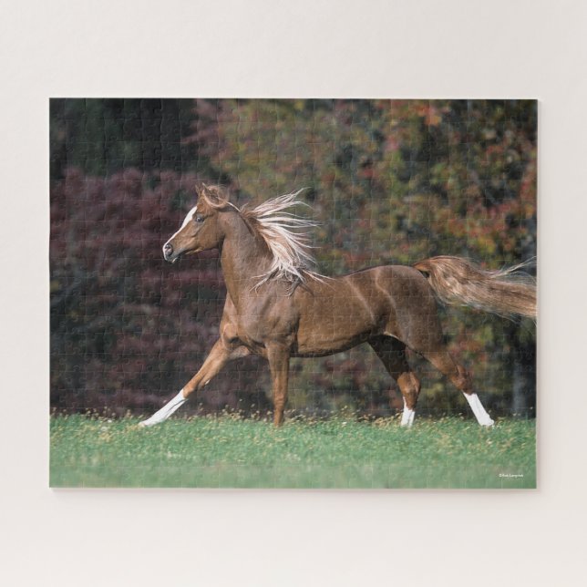 Arab Stallion Running Flowing Mane And Tail Jigsaw Puzzle (Horizontal)