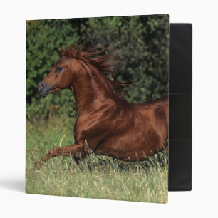 Arab Stallion Running in the Grass Binder