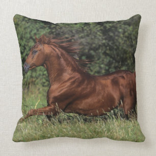 Arab Stallion Running in the Grass Throw Pillow