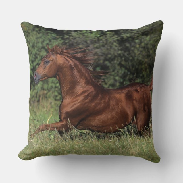 Arab Stallion Running in the Grass Throw Pillow (Front)