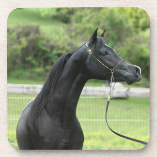 Arabe de noir sur des dessous de verre