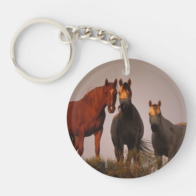 Arabes au coucher du soleil (Devant)