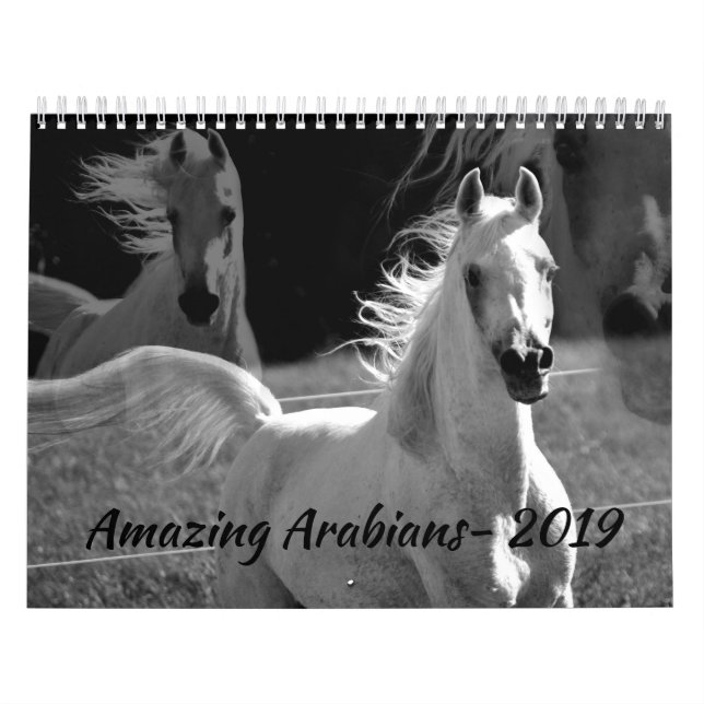 Arabes extraordinaires un calendrier 2019 (Protection)