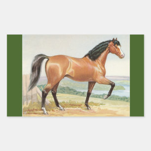 Arabian Bay Horse Vintage Watercolor Fine Art Sticker