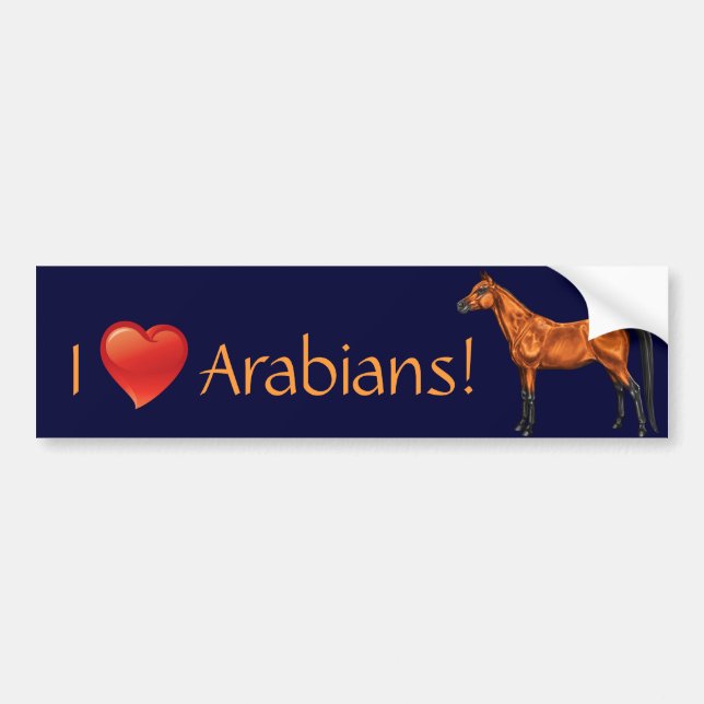Arabian Bumper Sticker (Front)